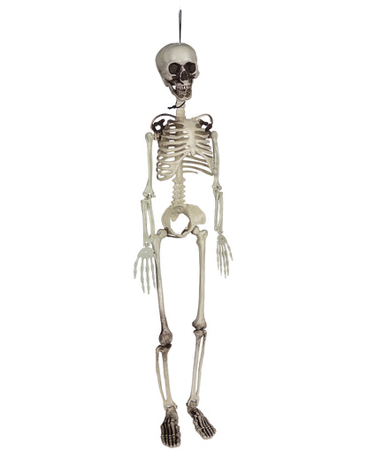 Economy Decorative Skeleton 90cm