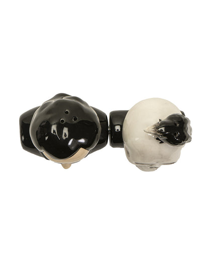 Edgar Allan Poe & Rabe Salz & Pfefferstreuer Set