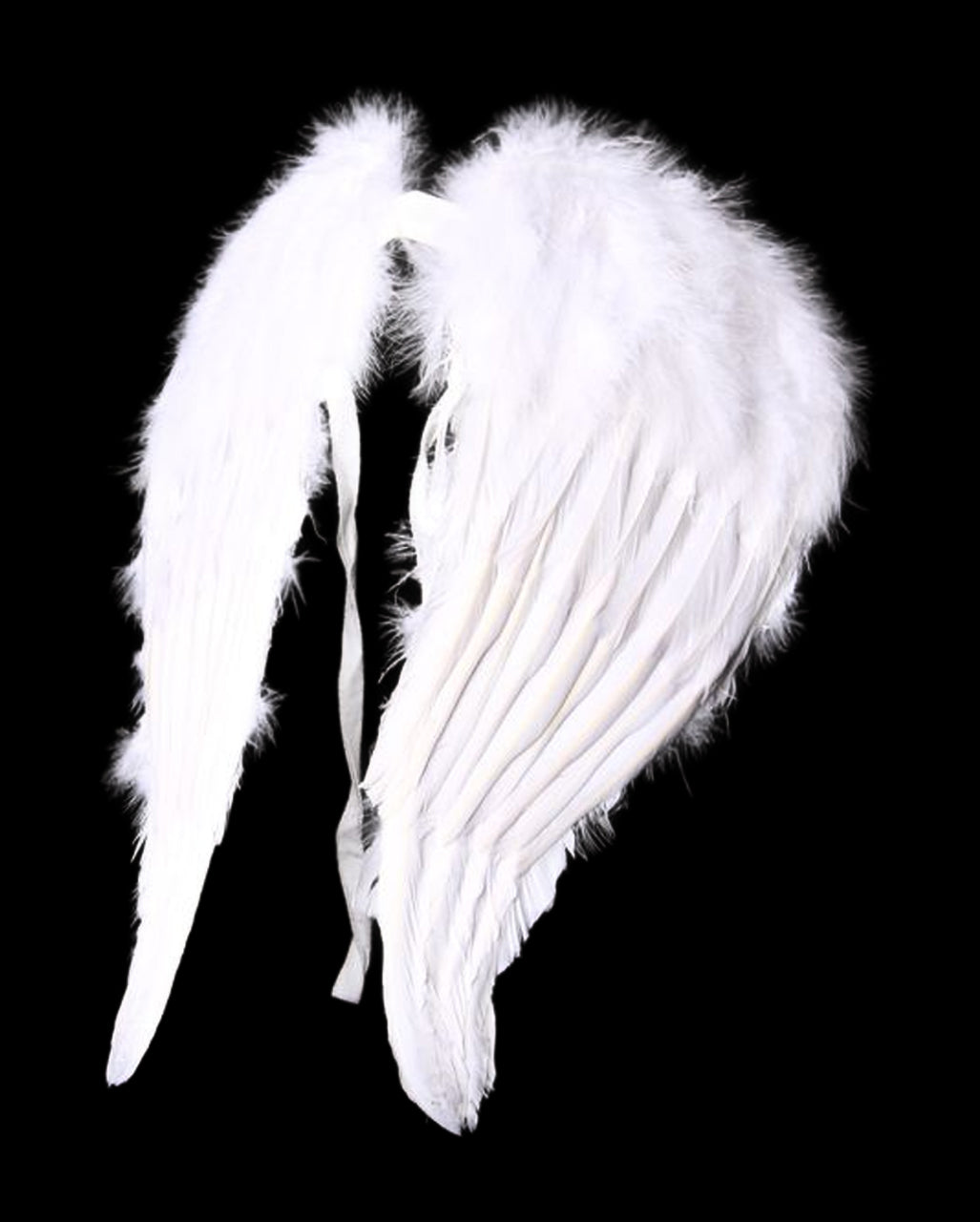 Angel Wings White