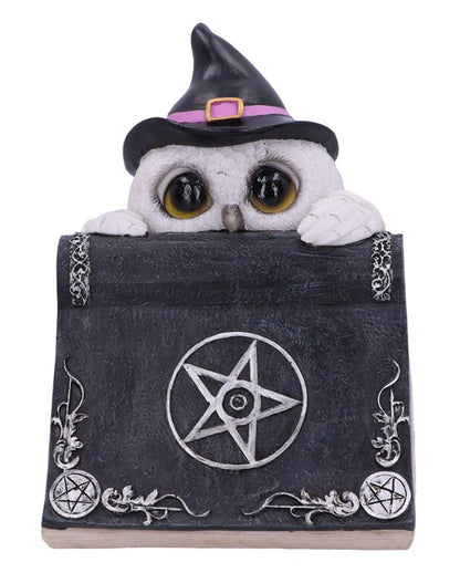 Weiße Eule mit Zauberbuch & Pentagramm 15cm