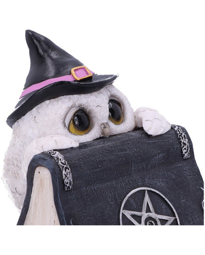 Weiße Eule mit Zauberbuch & Pentagramm 15cm