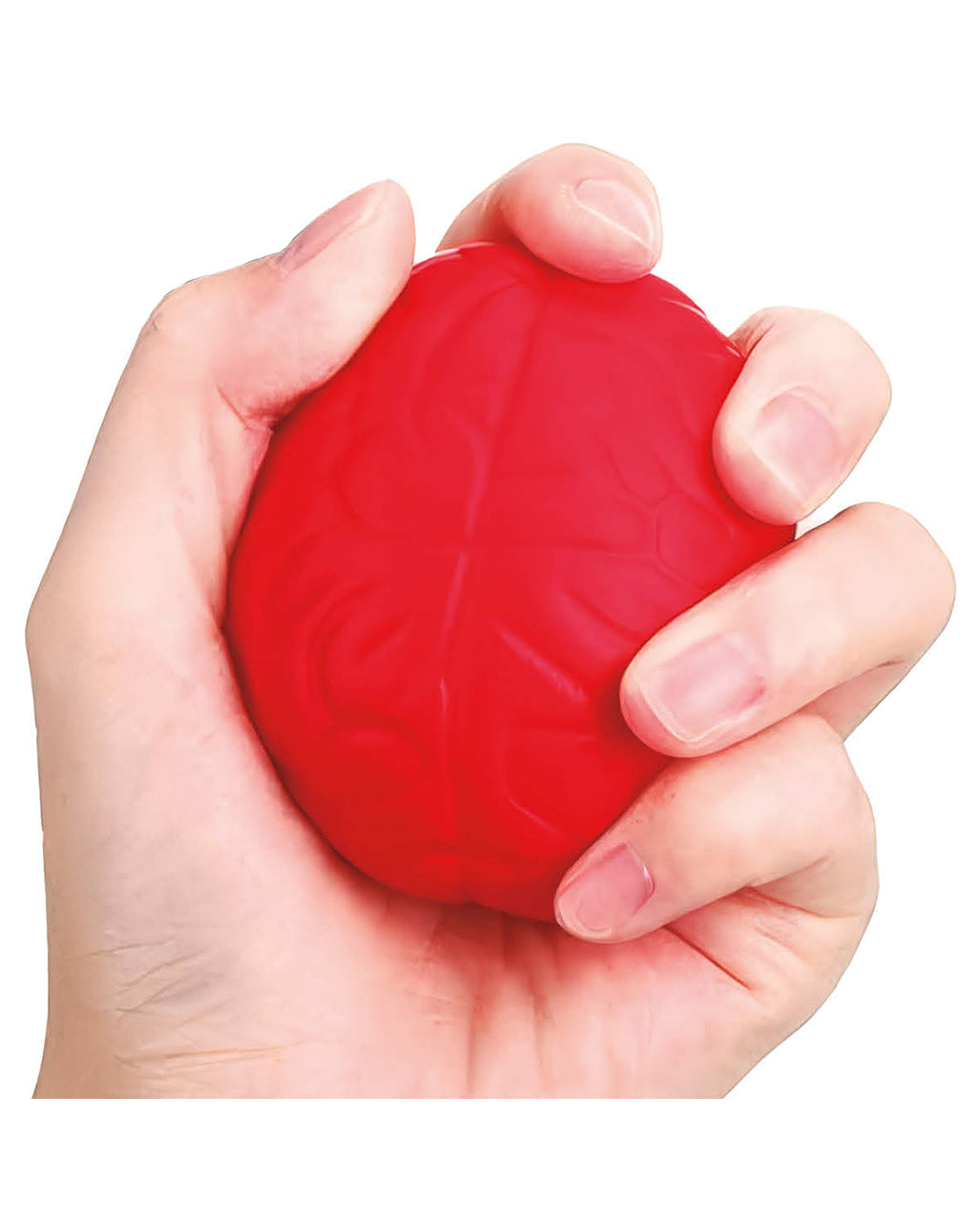 Squishy Gehirn Stressball 8cm