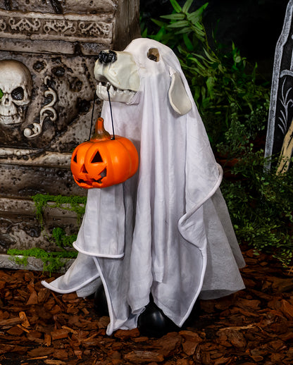 Ghost Dog With Pumpkin Lantern 55cm