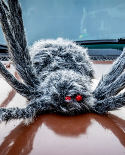Gigantic Gray-black Mottled Spider 360cm