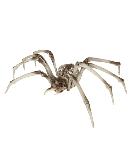 Riesige Skelett Spinne 82cm