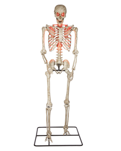 Gigantisches Halloween Skelett 3 Meter