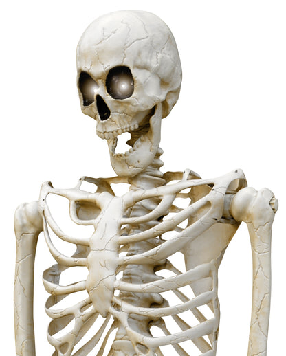 Gigantisches Halloween Skelett 3 Meter