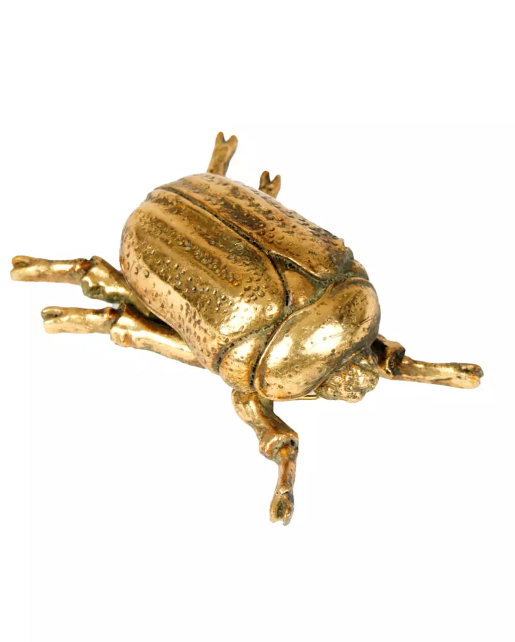 Goldene Skarabäus Käfer Wanddekoration 23 cm