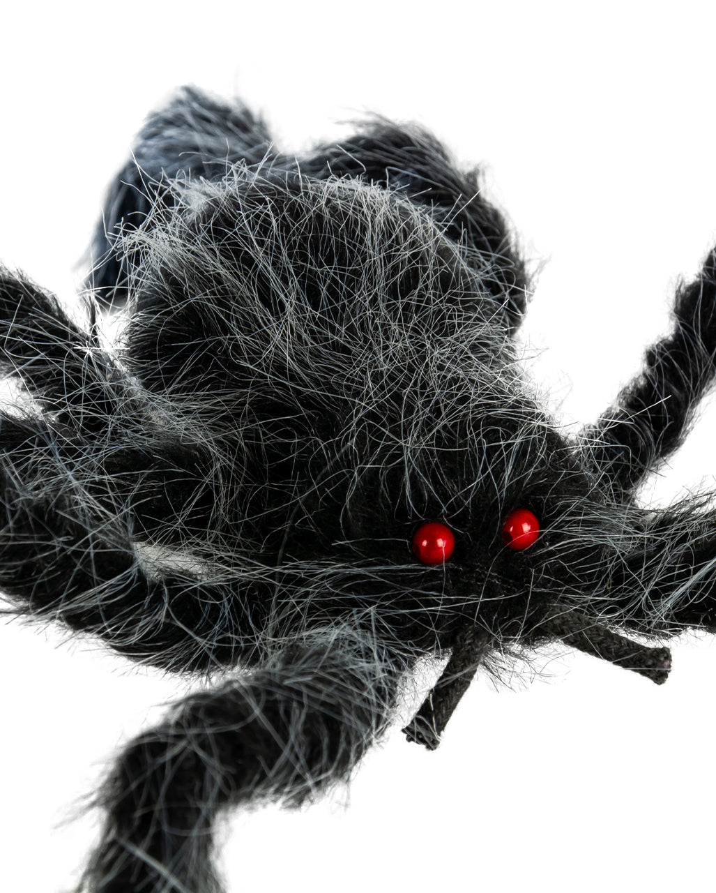 Haarige Spinne Grau-Schwarz Meliert