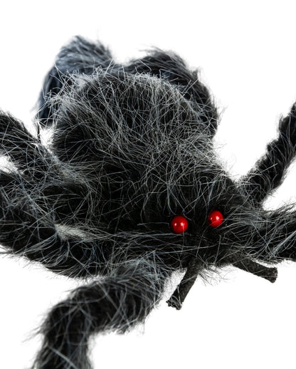 Haarige Spinne Grau-Schwarz Meliert