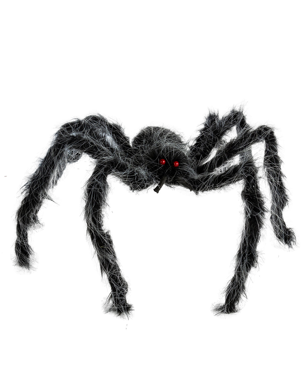 Haarige Spinne Grau-Schwarz Meliert