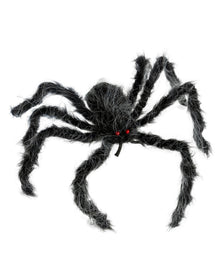 Haarige Spinne Grau-Schwarz Meliert