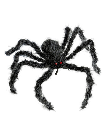 Haarige Spinne Grau-Schwarz Meliert