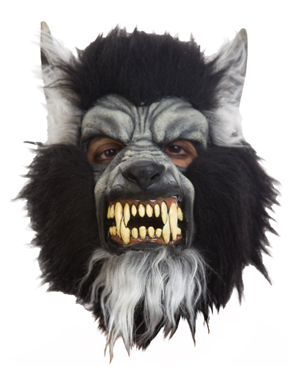 Graue Wolf Maske mit Reißzähnen