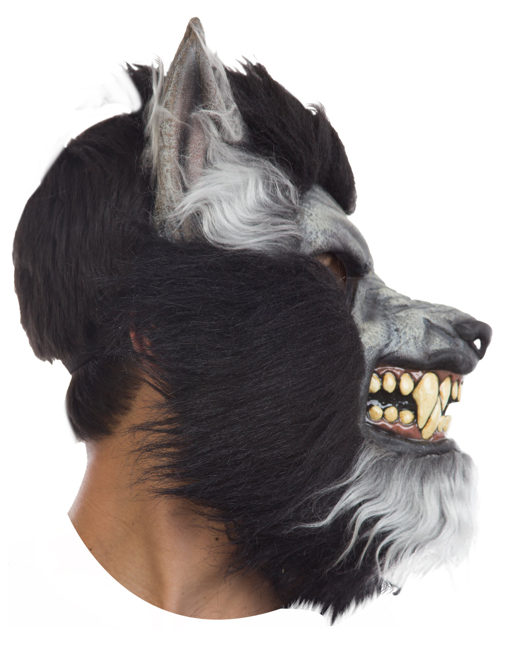 Graue Wolf Maske mit Reißzähnen