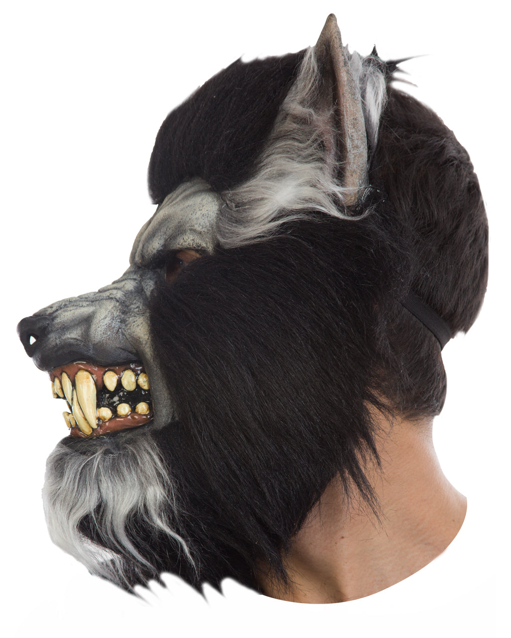 Graue Wolf Maske mit Reißzähnen