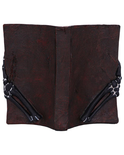 Hellseher Zauberbuch Deko 25,8cm
