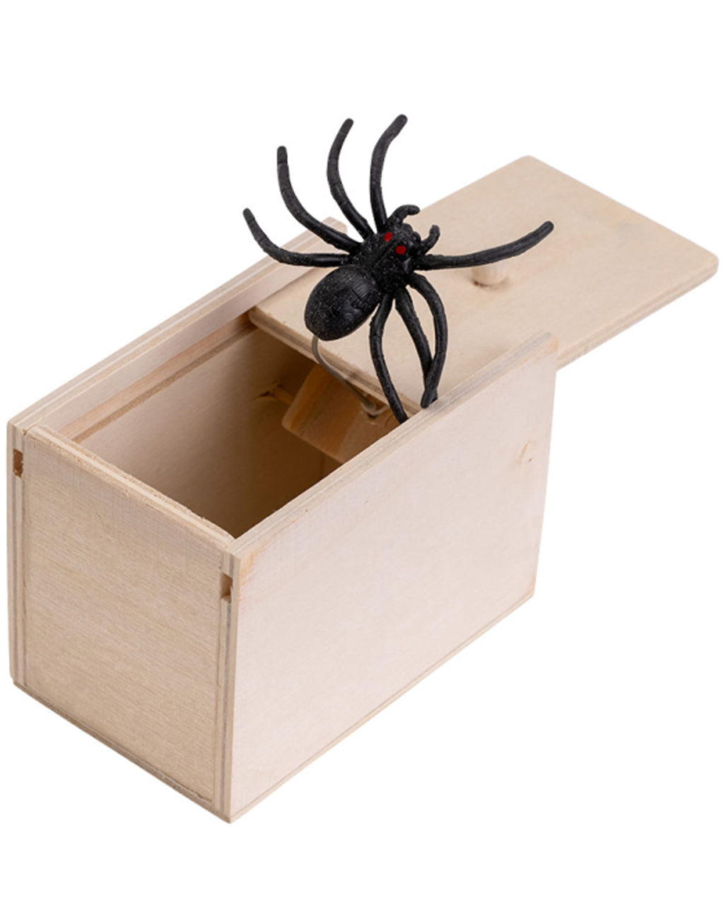 Überraschungsbox mit gruseliger Spinne