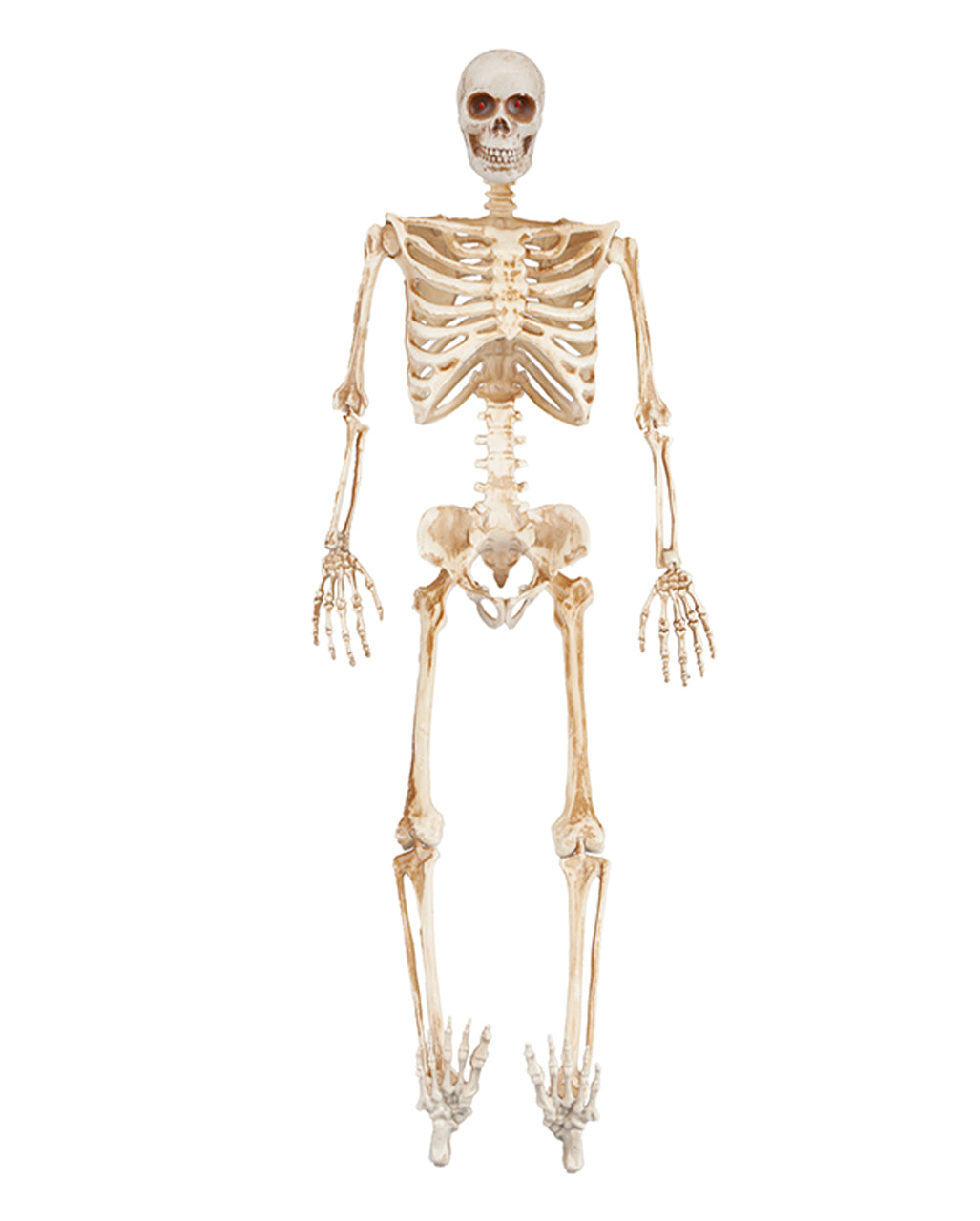 Skelett Figur mit LED Augen 91cm