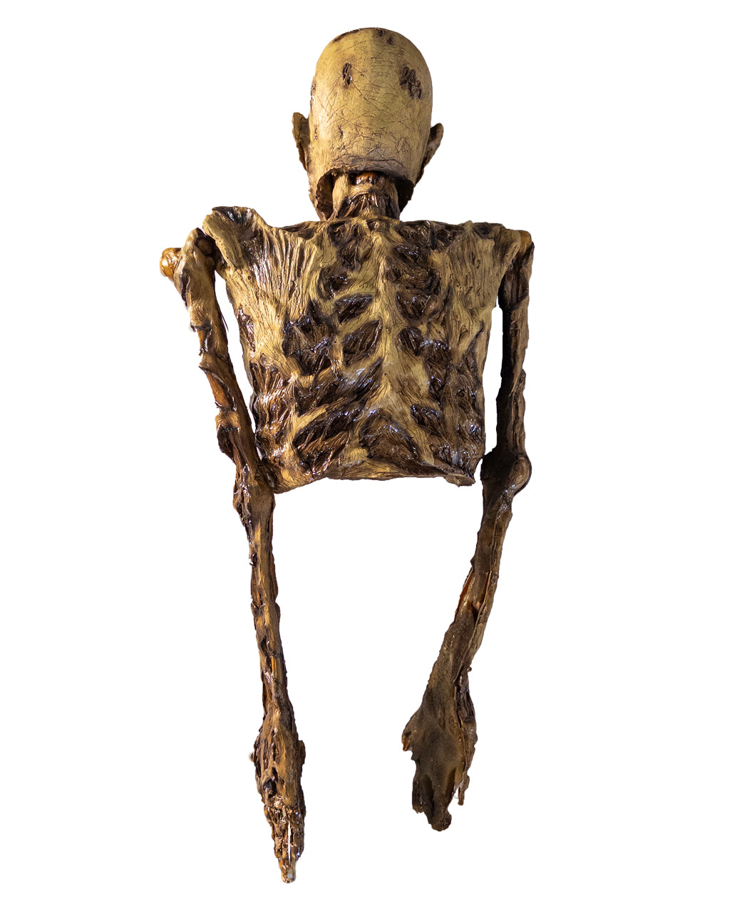 Verwester Skelett Oberkörper mit beweglichen Armen 82cm