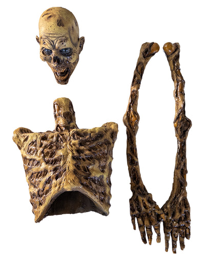 Verwester Skelett Oberkörper mit beweglichen Armen 82cm