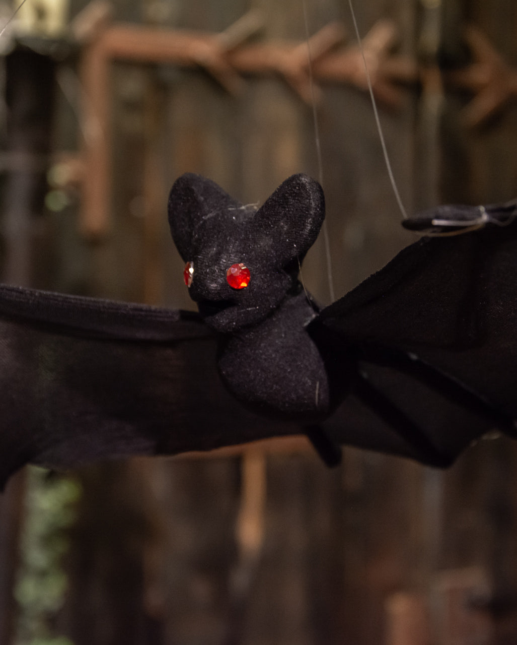 Halloween Bat Nylon