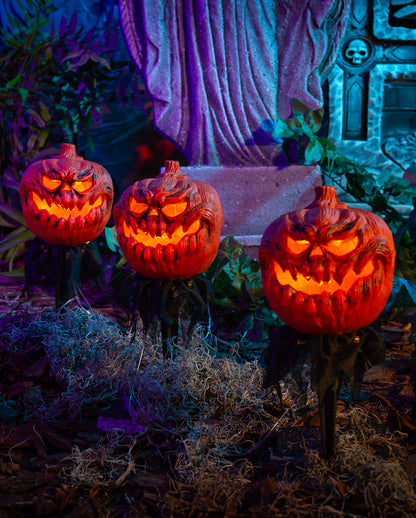 Spooky Halloween Kürbis mit Erdspieß 3er-Set