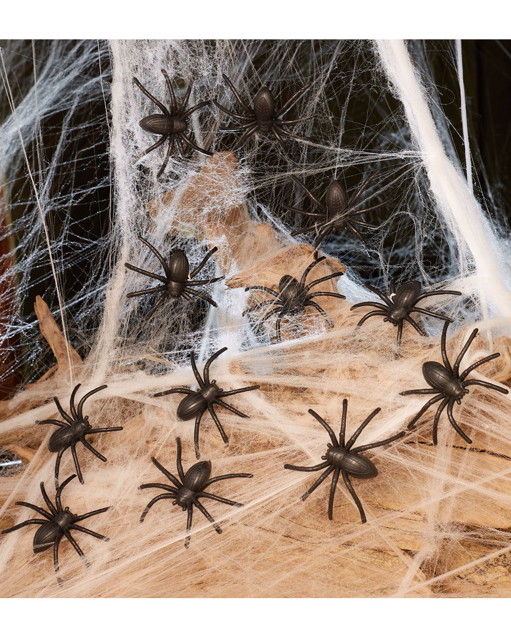 12 Halloween Spinnen
