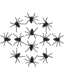 12 Halloween Spinnen