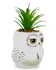 Harry Potter Hedwig Topf mit Sukkulente