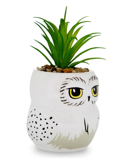 Harry Potter Hedwig Topf mit Sukkulente