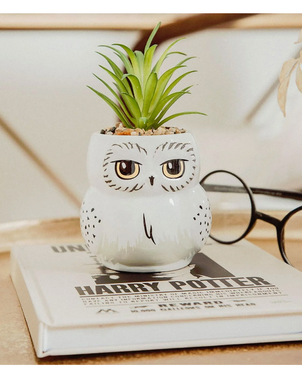 Harry Potter Hedwig Topf mit Sukkulente