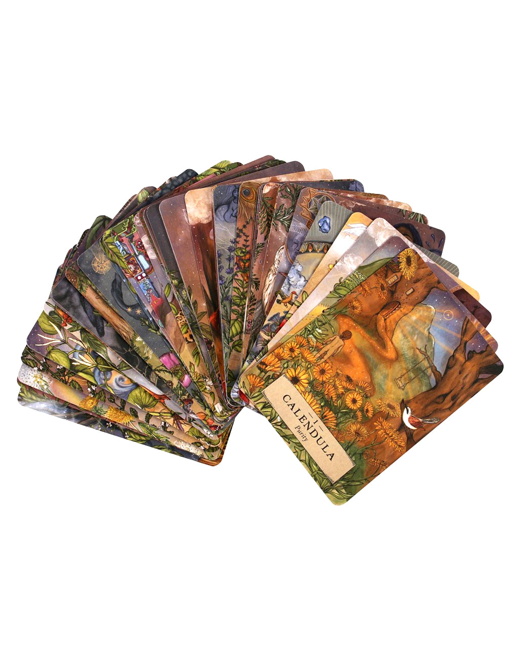 Herbal Astrology Oracle Cards
