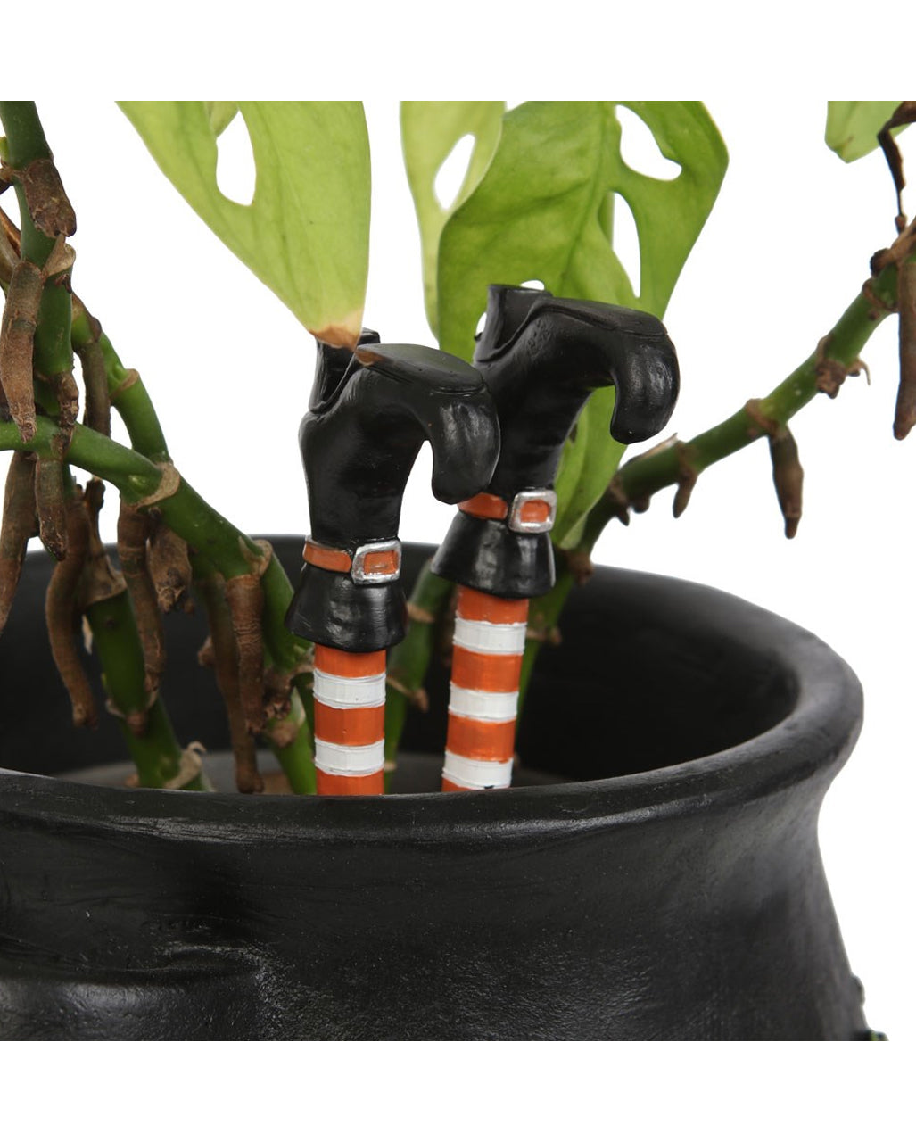Hexenbeine als Blumentopf Stecker 10cm