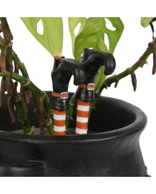 Hexenbeine als Blumentopf Stecker 10cm
