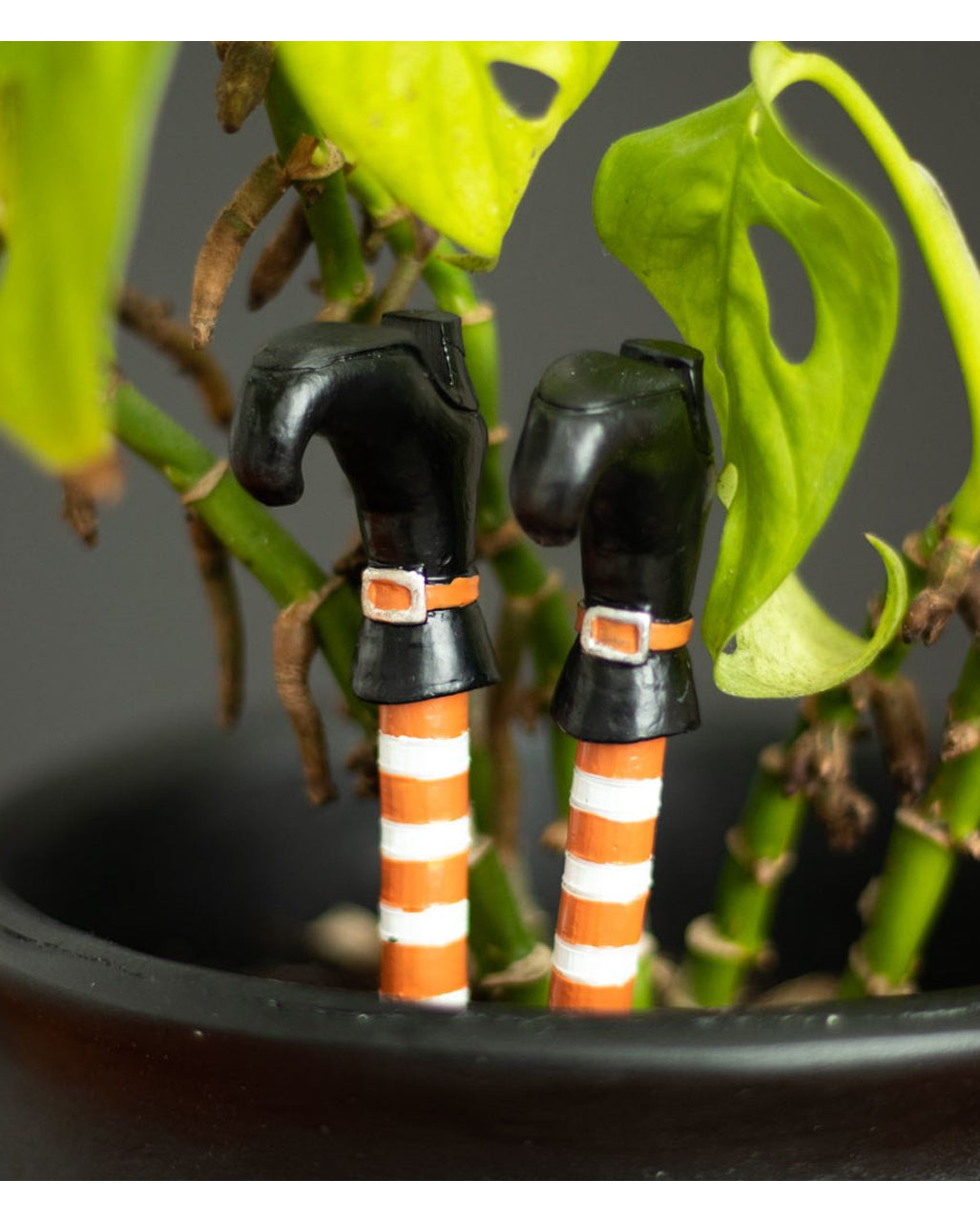 Hexenbeine als Blumentopf Stecker 10cm