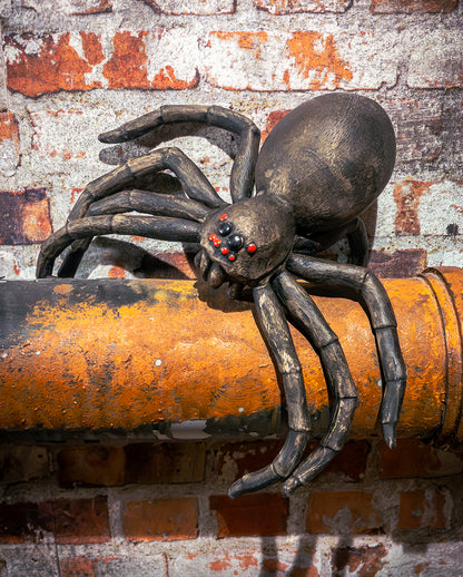 Giant Horror Tarantula 30cm