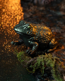 Irisierender Frosch aus Kunststoff 7,5cm