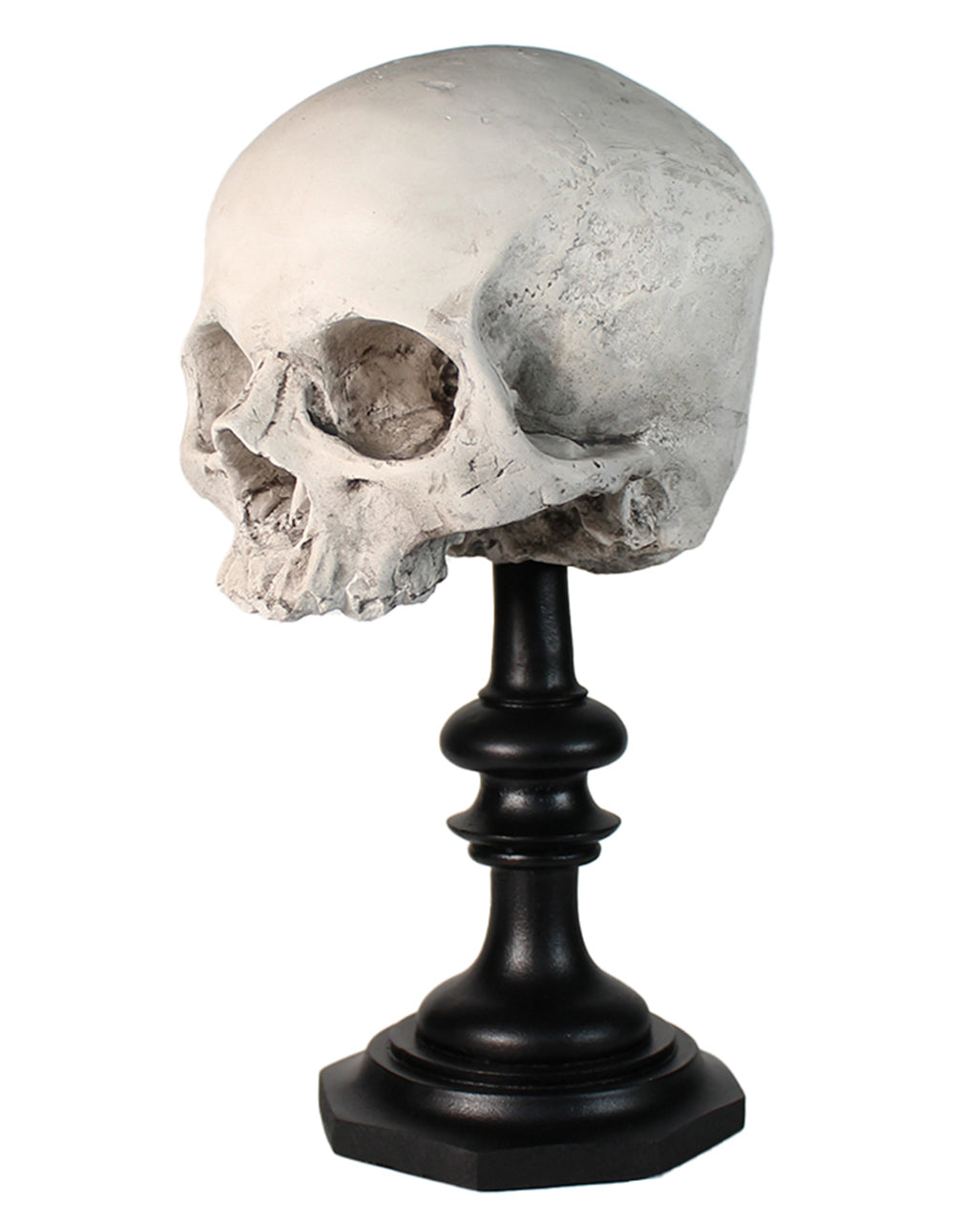 J. DOE Totenschädel auf Sockel 20cm