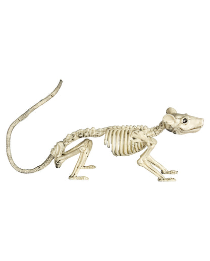 Ratten Skelett 20cm