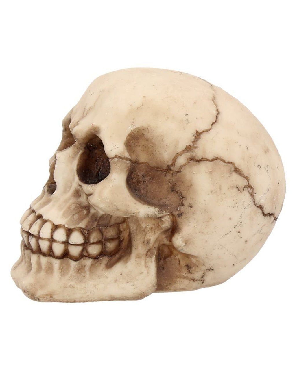Kleiner Grinsender Totenkopf 12cm