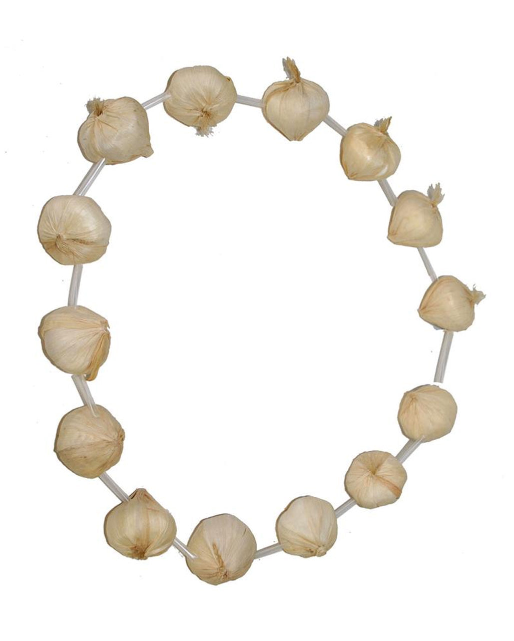 Garlic Necklace