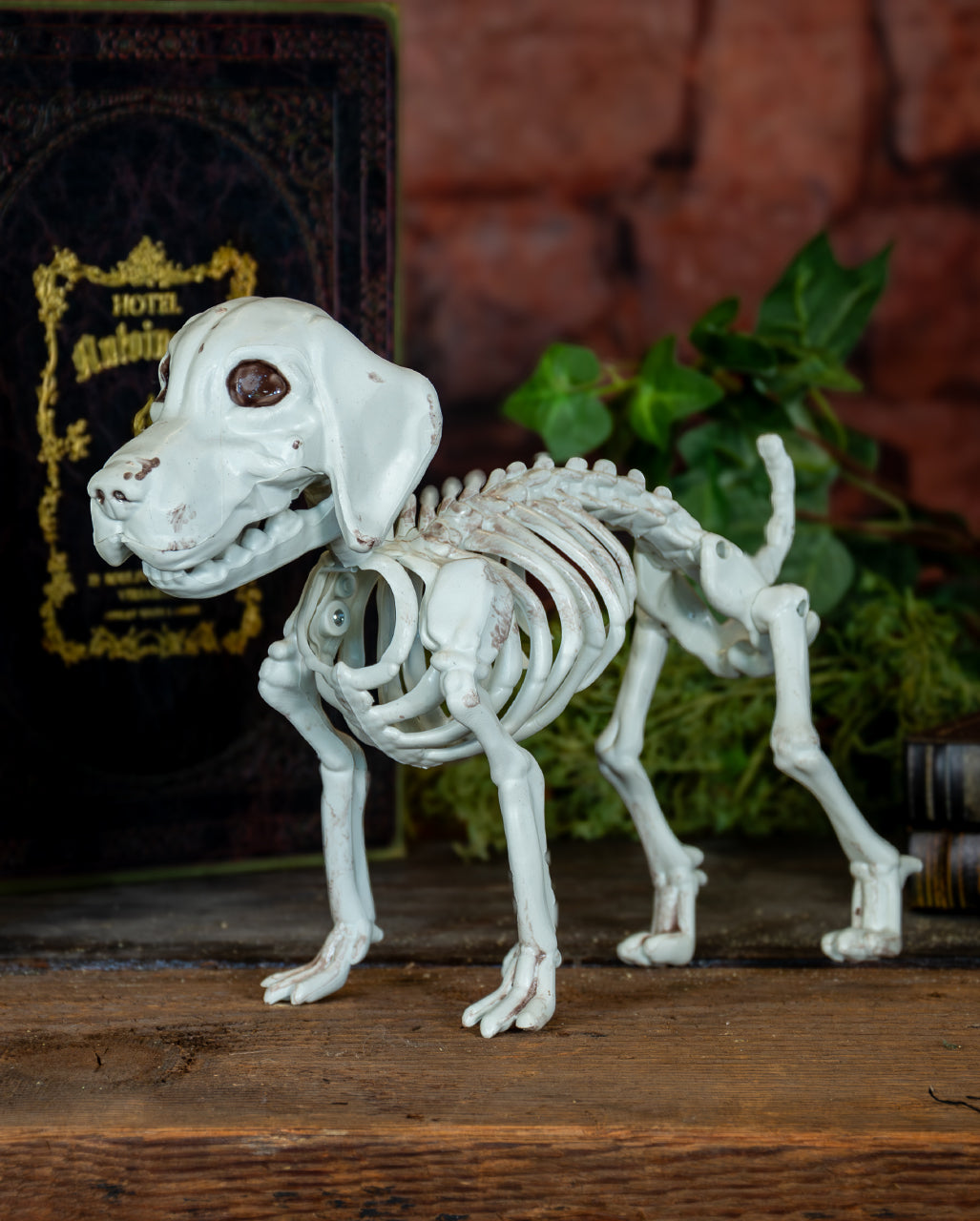 Labrador Hundeskelett als Halloween Deko 28cm