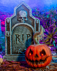 Laughing Halloween Pumpkin With Movement & Light 23cm