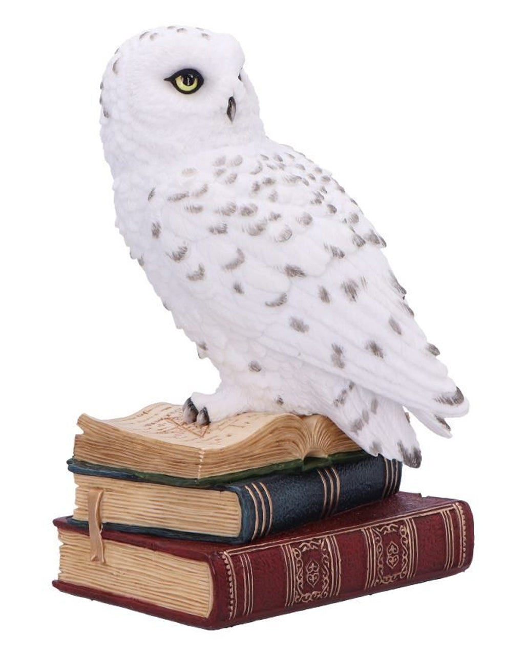 Bibliothek der Weisheit Eulen Figur 17cm