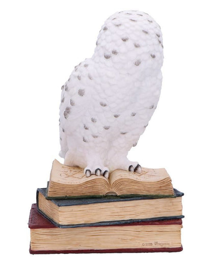 Bibliothek der Weisheit Eulen Figur 17cm