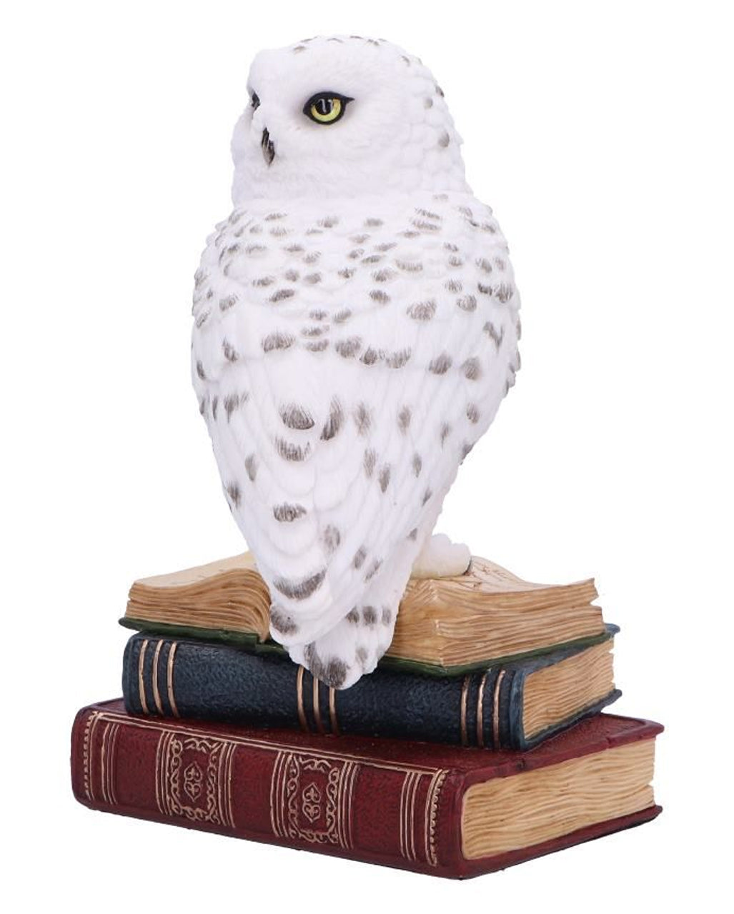 Bibliothek der Weisheit Eulen Figur 17cm