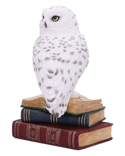 Bibliothek der Weisheit Eulen Figur 17cm