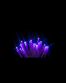 Lichterkette mit 50 LEDs Lila 5m