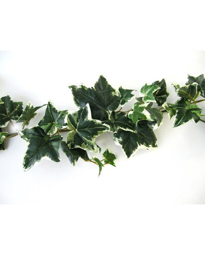 Multicolor Ivy Garland 180cm